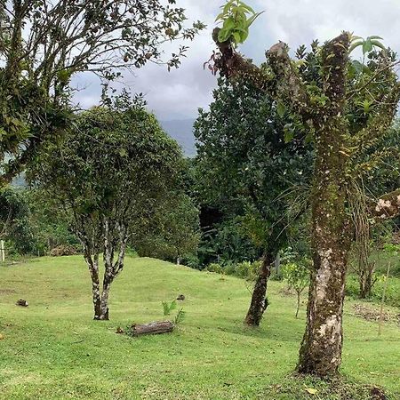 972B-Coin De Verdure Au Pied De La Montagne Pelee Le Morne-Rouge Exterior foto